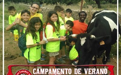 CAMPAMENTOS MULTIAVENTURA