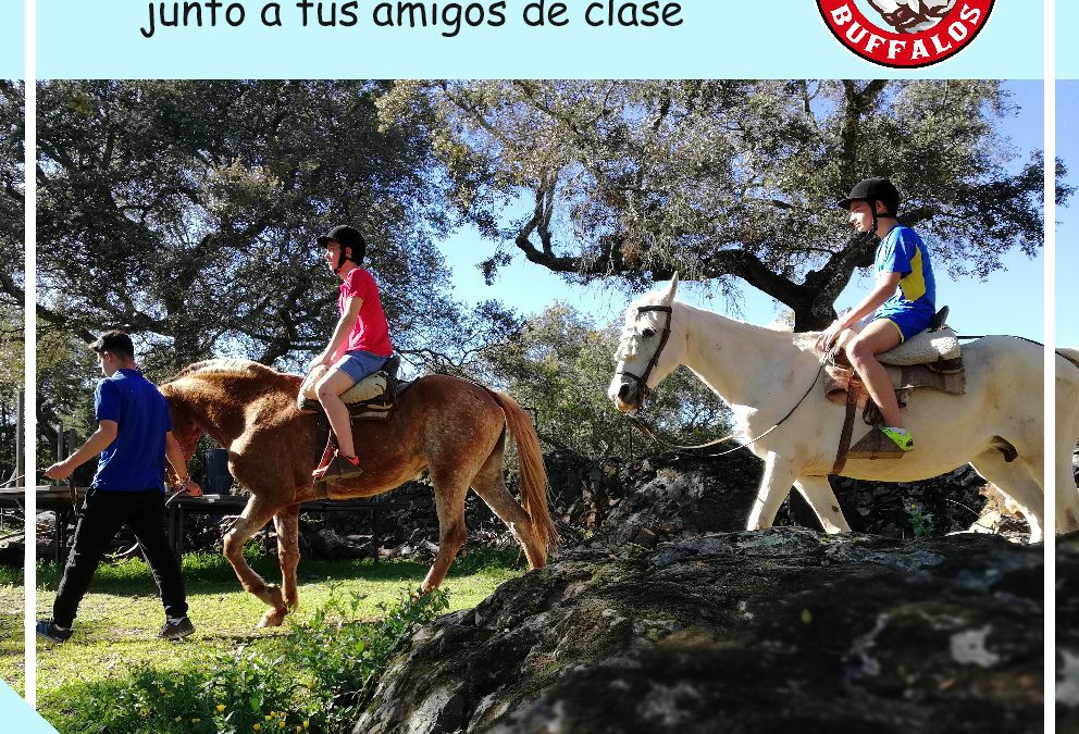 CAMPAMENTO PARA COLEGIO