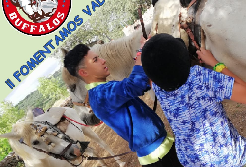 UN DÍA MULTIAVENTURA