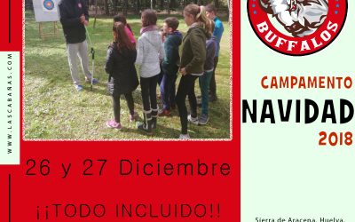 ACTIVIDADES PARA NAVIDAD