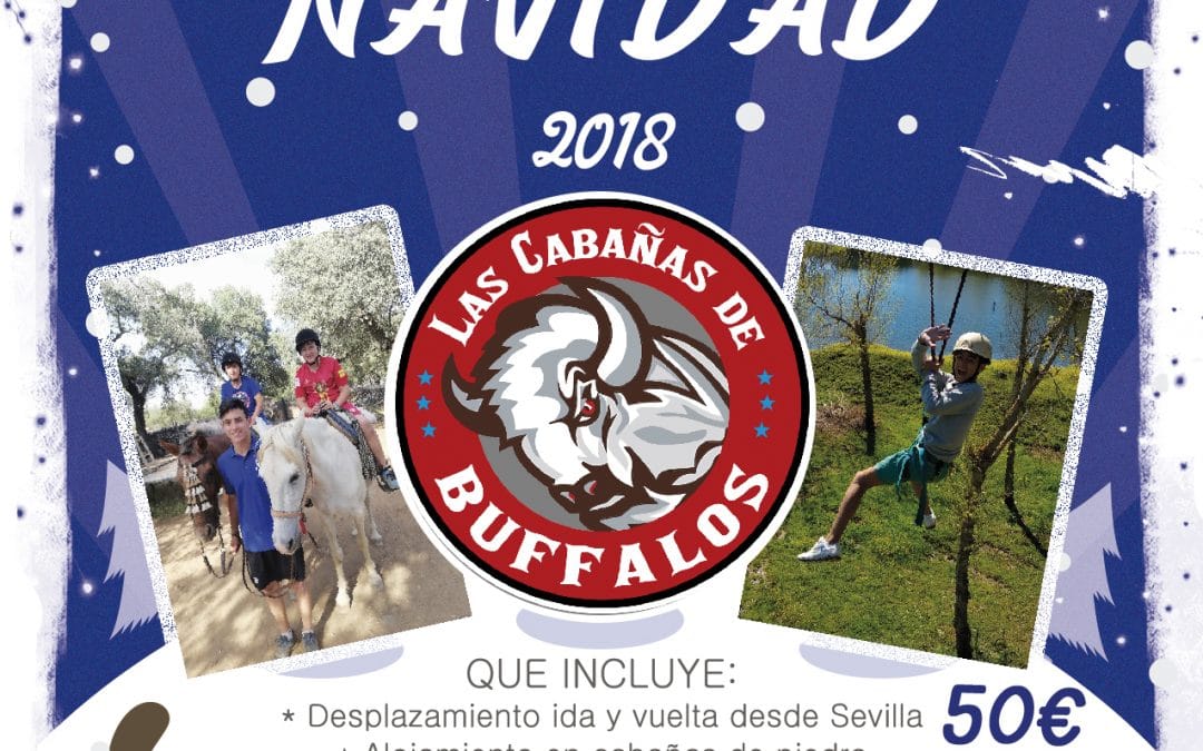 Campamento Navidad