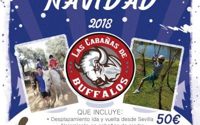 CAMPAMENTO NAVIDAD 2018