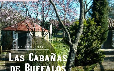 HOSPEDAJE EN CUMBRES MAYORES