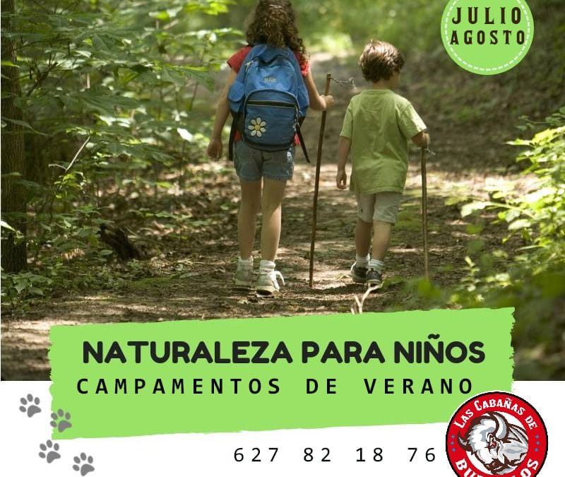 campamentos de verano baratos