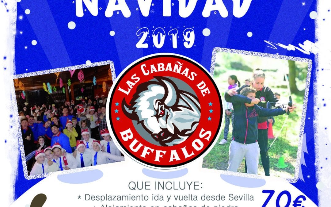 Campamento para navidad 2019
