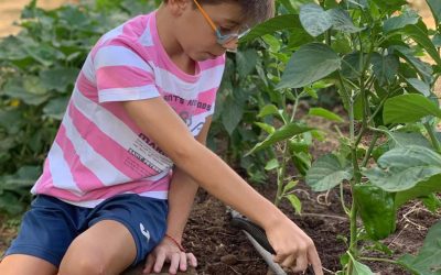 Campamentos en Andalucía