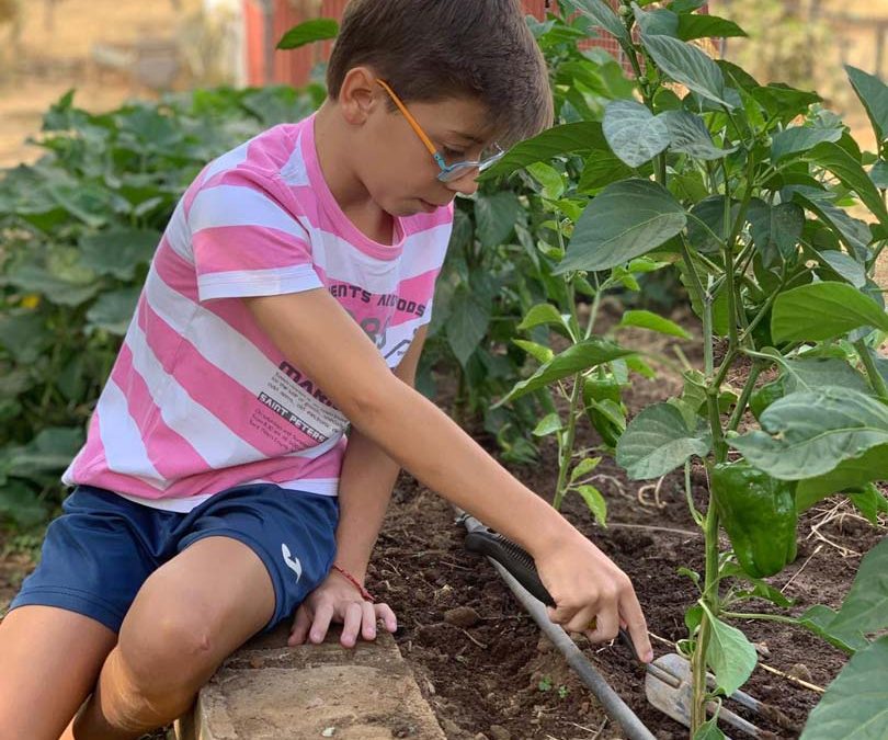 campamentos en andalucía