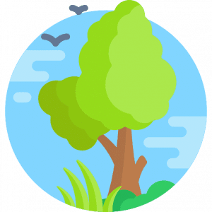 Campamento en plena naturaleza