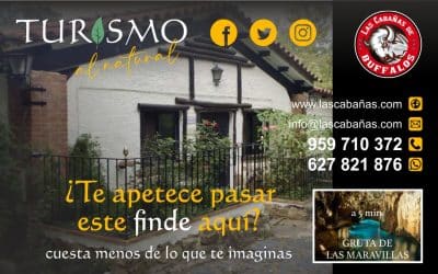 Alquiler de cabañas