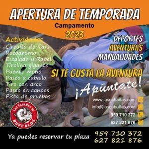 ¿Por qué deben los niños ir a un campamento de verano?