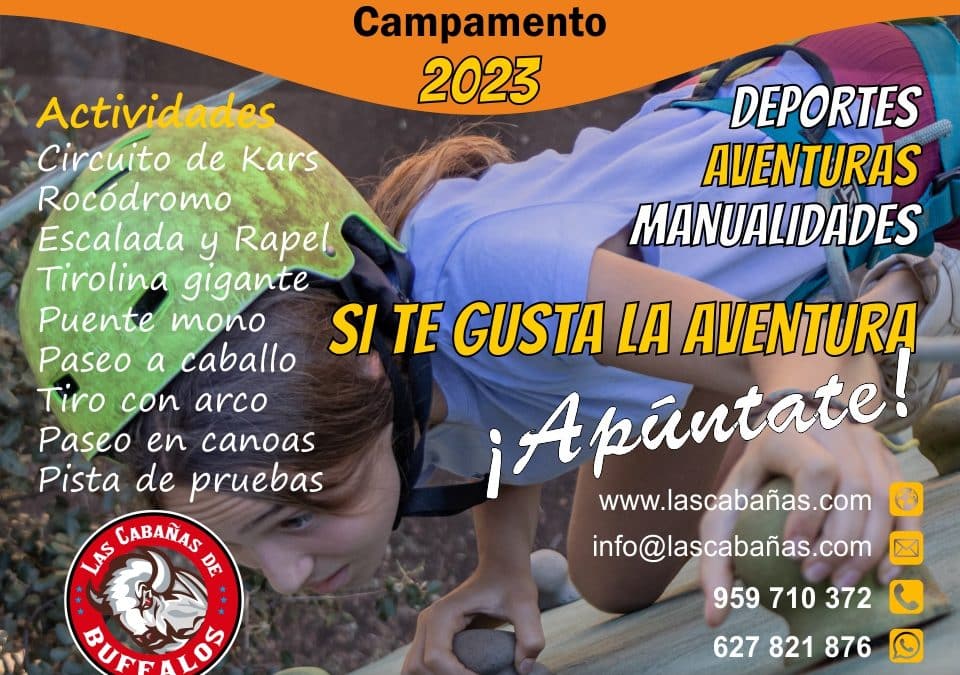 ¿Por qué deben los niños ir a un campamento de verano?