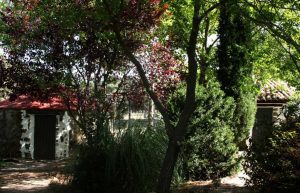 buharda_04 Turismo rural