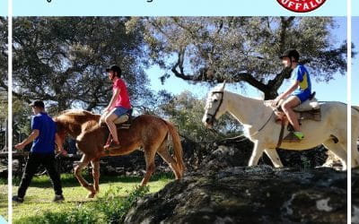 CAMPAMENTO PARA COLEGIO