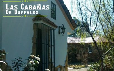 FINDE EN LA SIERRA DE HUELVA