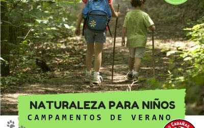 Campamentos de verano baratos