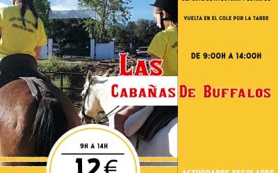 Un día Multiaventura