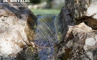 Escapada de fin de semana