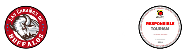 Campamento Las Cabañas de Buffalos